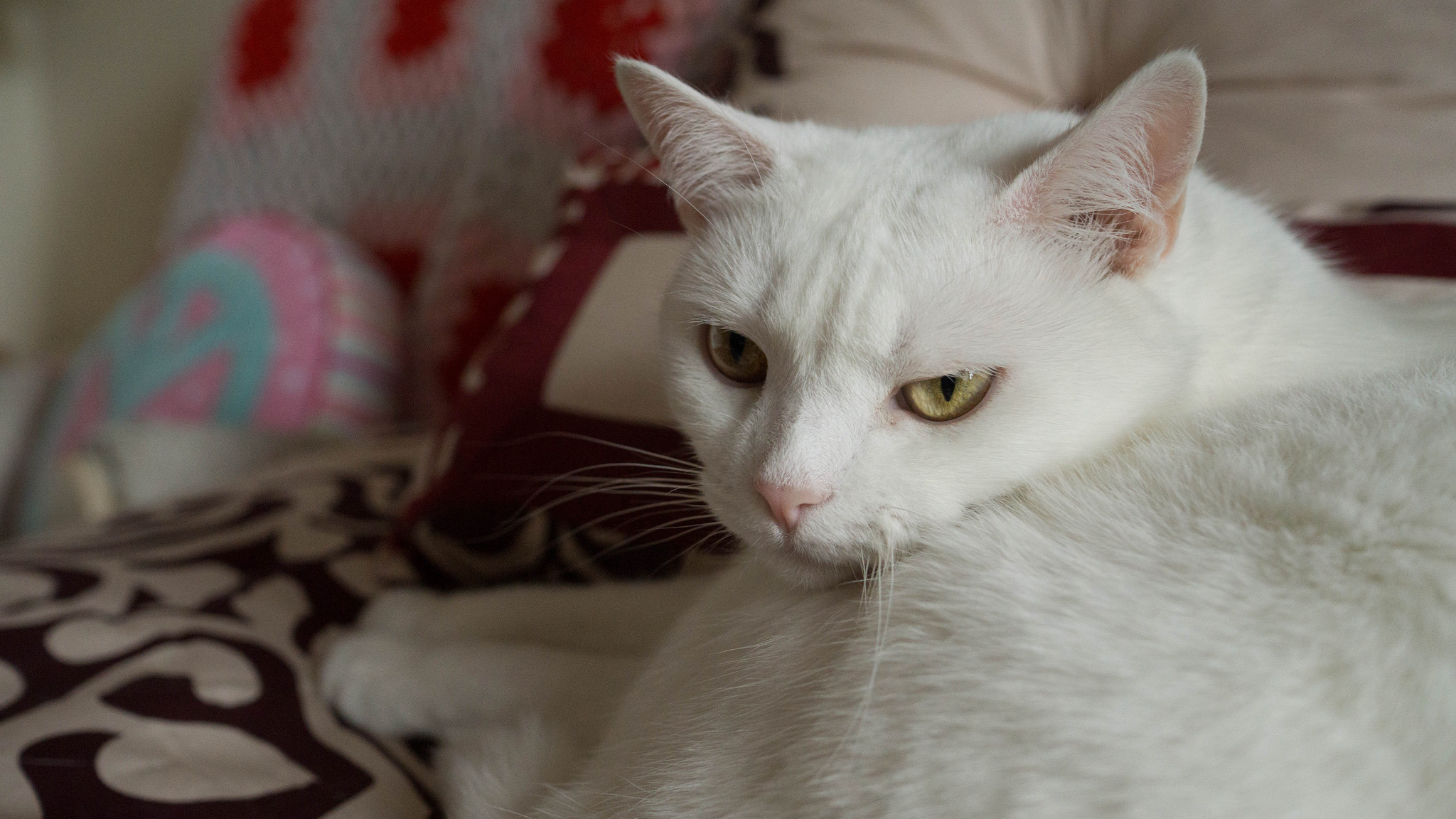 Snow White, queen of mystery.