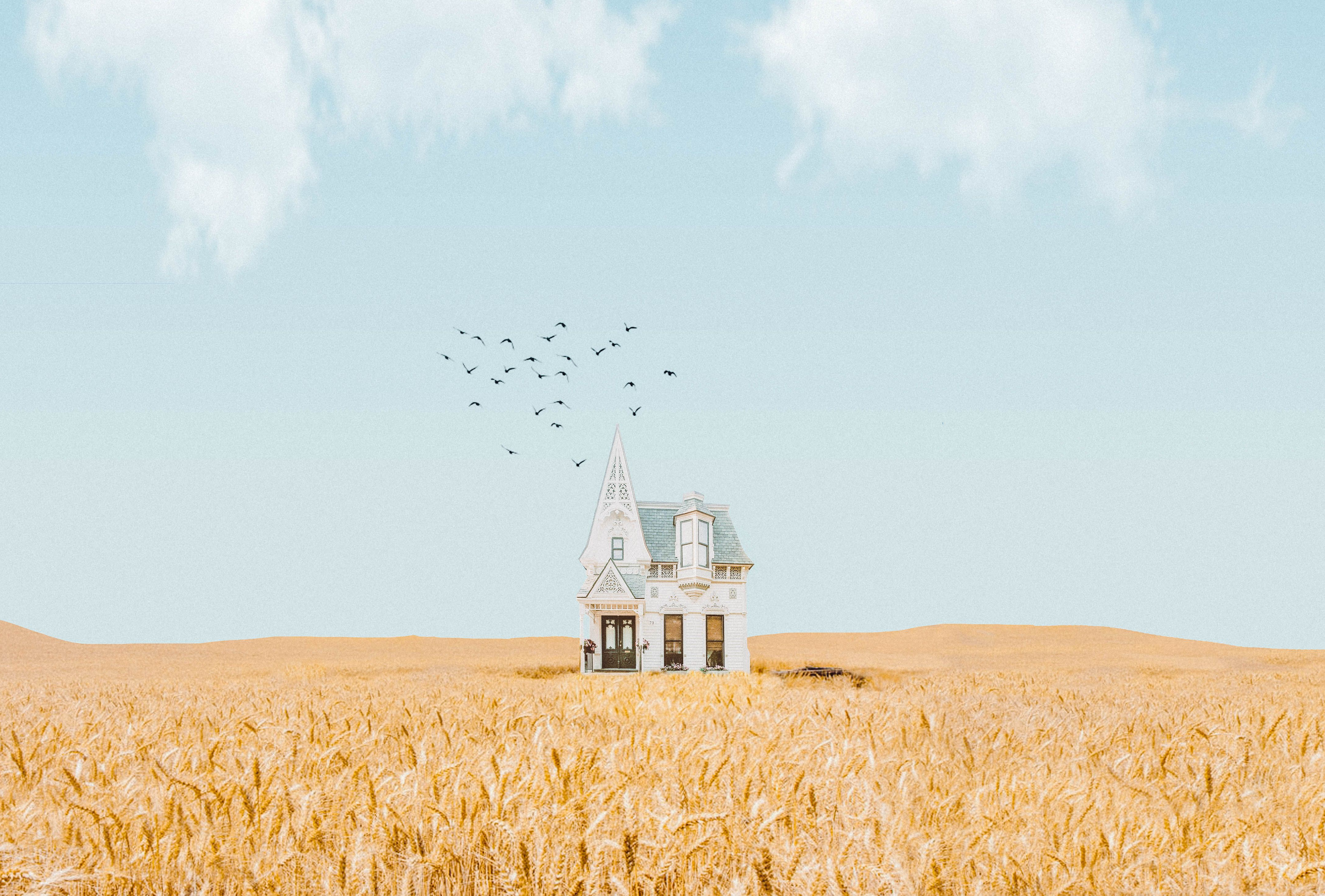 A little house on the prairie. Photo: Jeffrey Czum, ℅ Pexels.com.